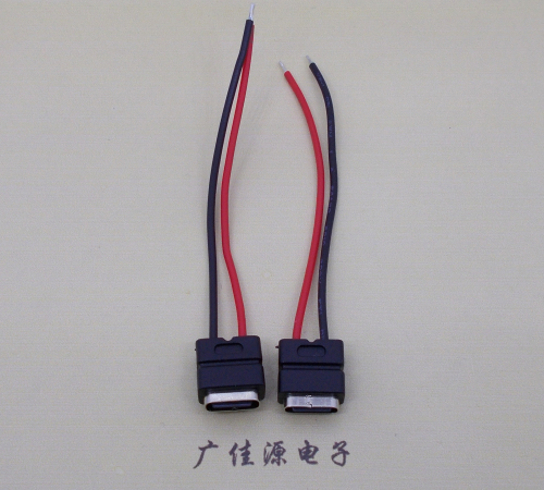 南通type c2p防水母座焊线式带线注塑成型带接线端子/不带接线端子充电连接器