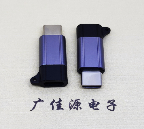 南通Type-C母转Type-C公 USB3.1 PD100W快冲接口